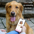 Load image into Gallery viewer, Tailr Classic QR Code ID Tag
