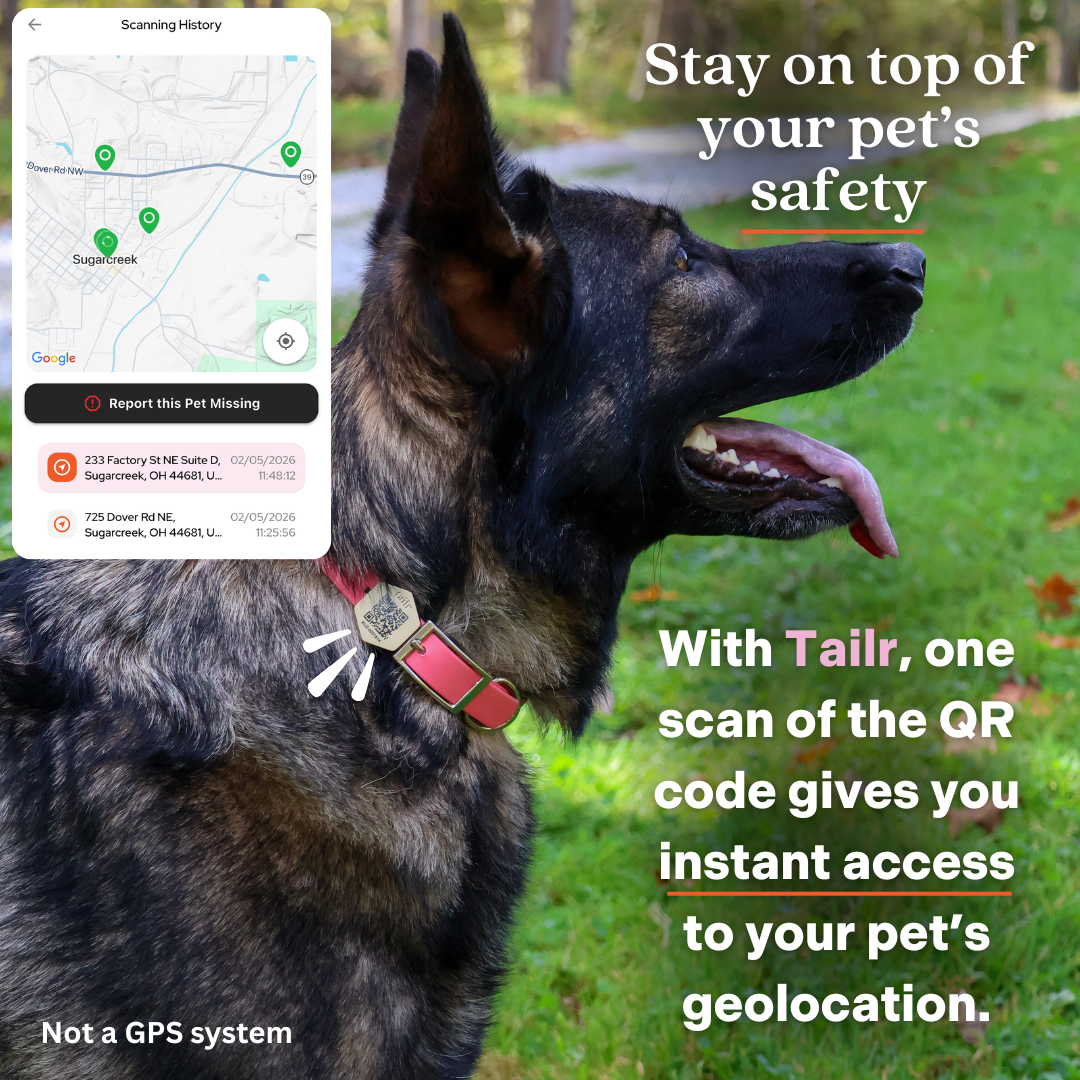 Tailr Classic QR Code ID Tag