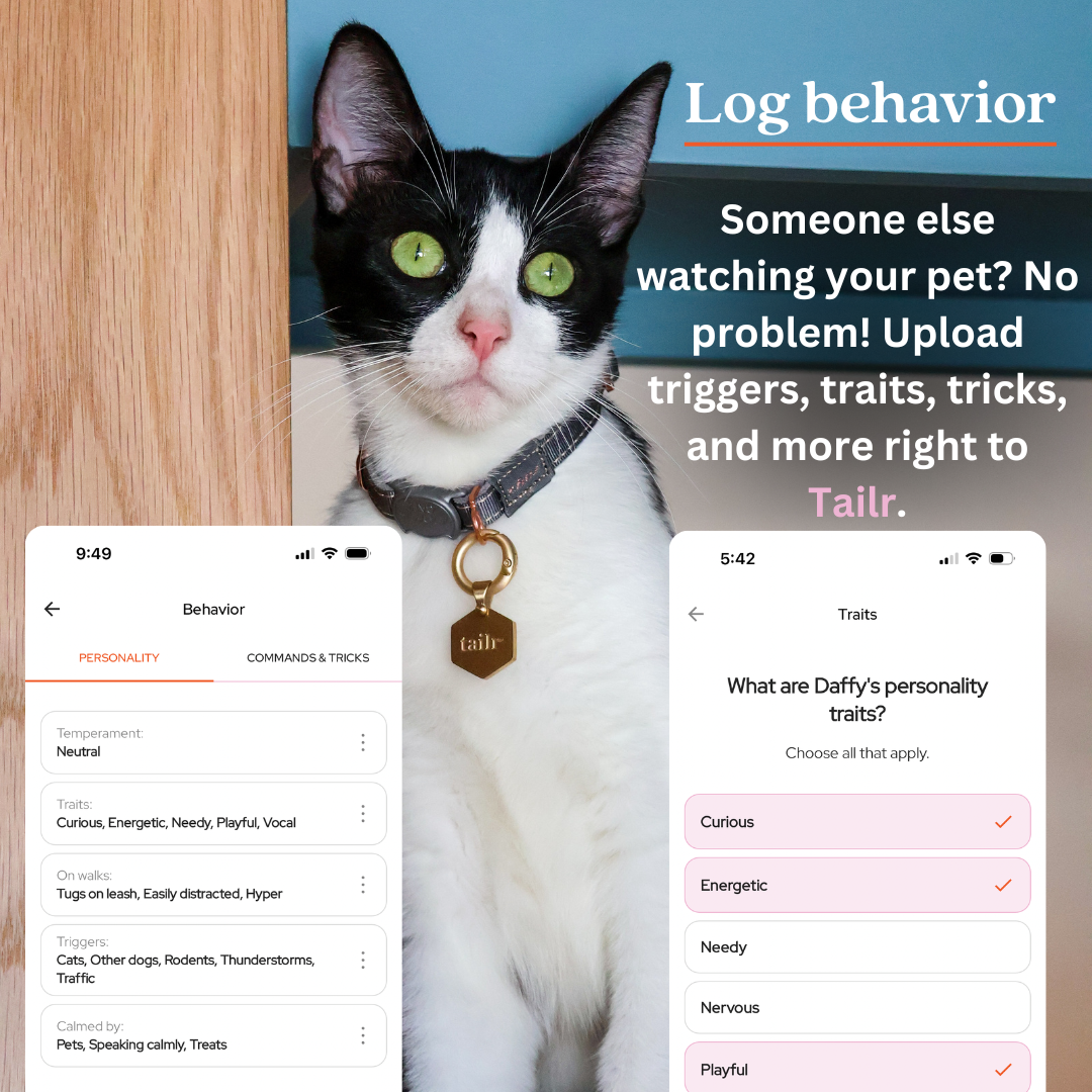 Tailr Classic QR Code ID Tag