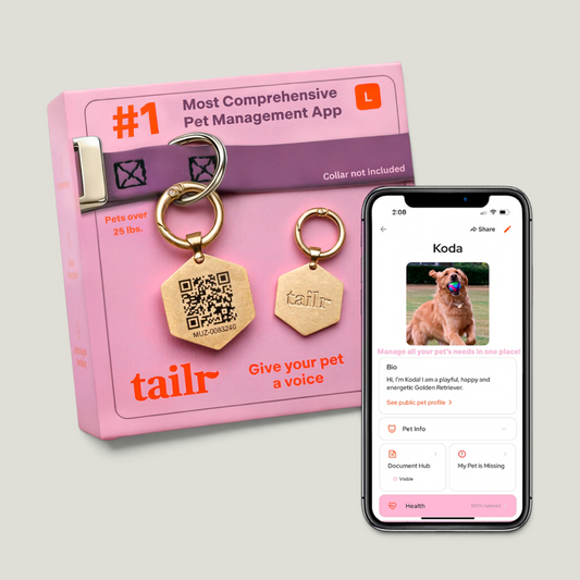 Placa de Identificación Clásica para Mascotas Tailr