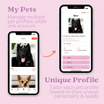 Load image into Gallery viewer, Tailr Classic Pet Tag

