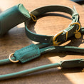 Cargar la imagen en la vista de la galería, Life Dog Leash in 17cc671a6eadad – Nala's Pet Boutique

