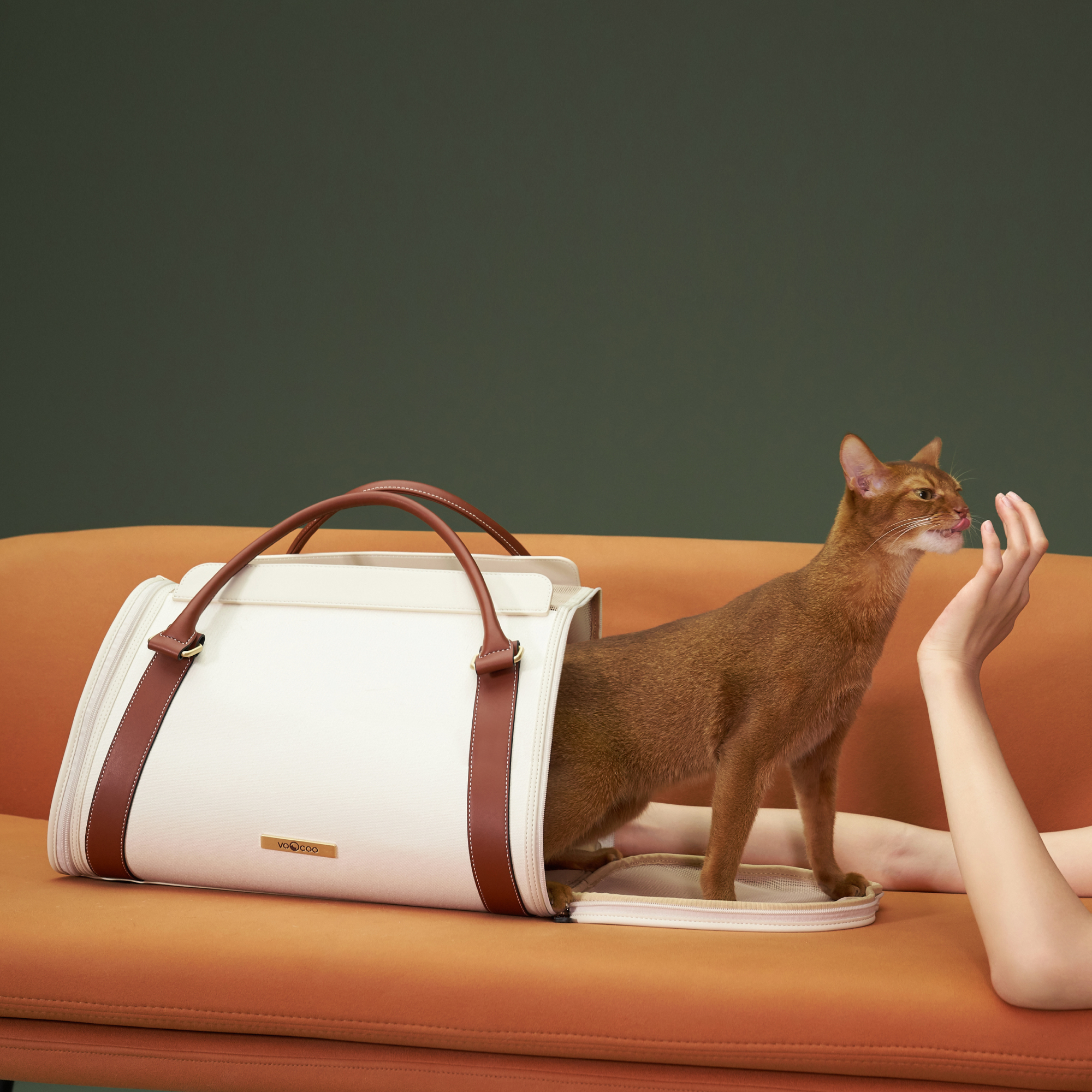Pet Travel Bag - Nala's Pet Furniture Boutique