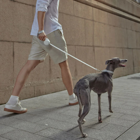 FurRéal Retractable Leash - Nala's Pet Furniture Boutique