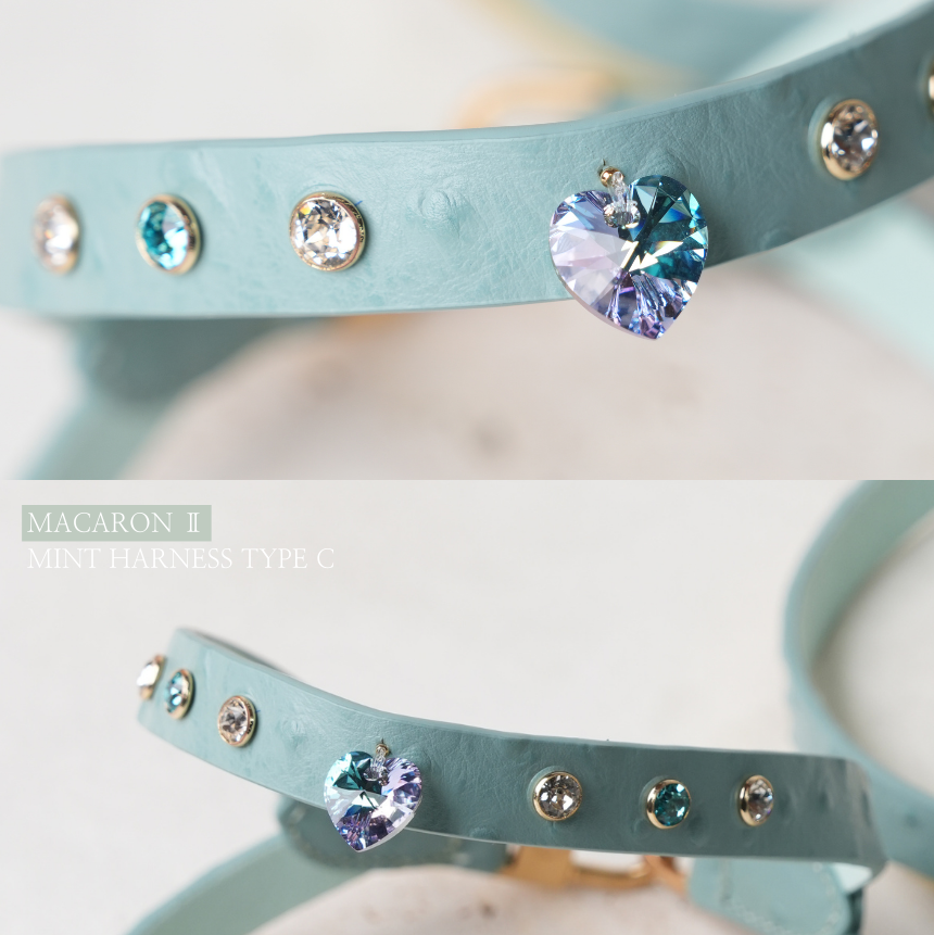 MACARON II-C Harness