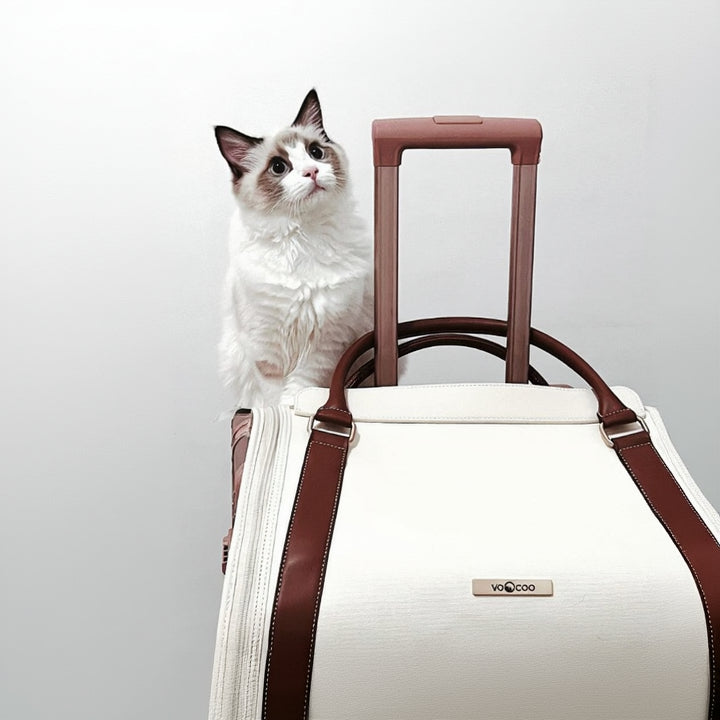 Fynn Pet Carrier angle view – Nala's Pet Boutique