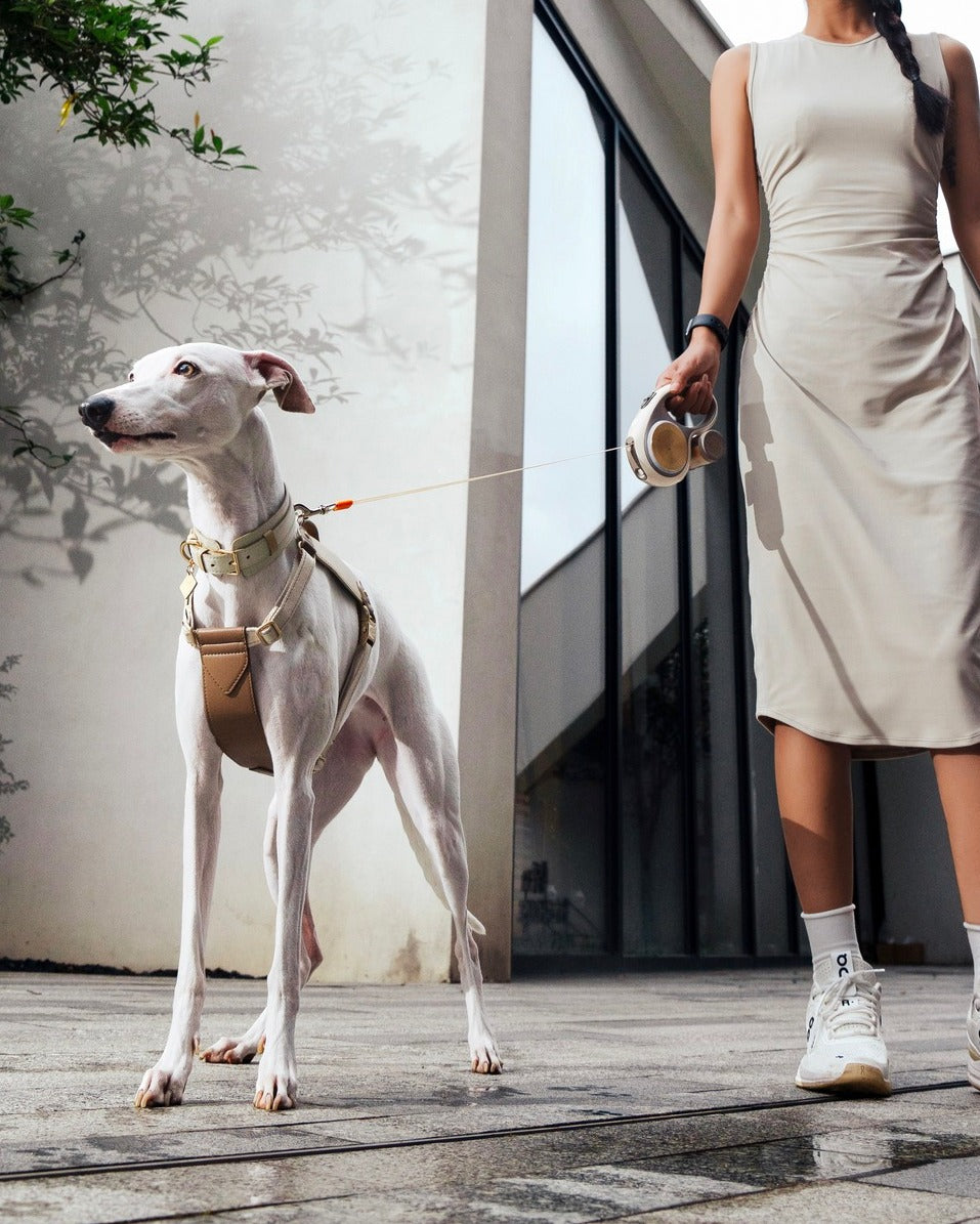 Go! Ultra - Nala's Pet Furniture Boutique