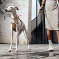 Cargar la imagen en la vista de la galería, Go! Ultra - Beige view 14 – Nala's Pet Boutique
