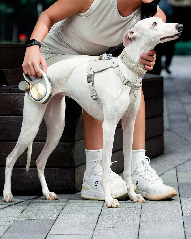 Go! Ultra - Nala's Pet Furniture Boutique