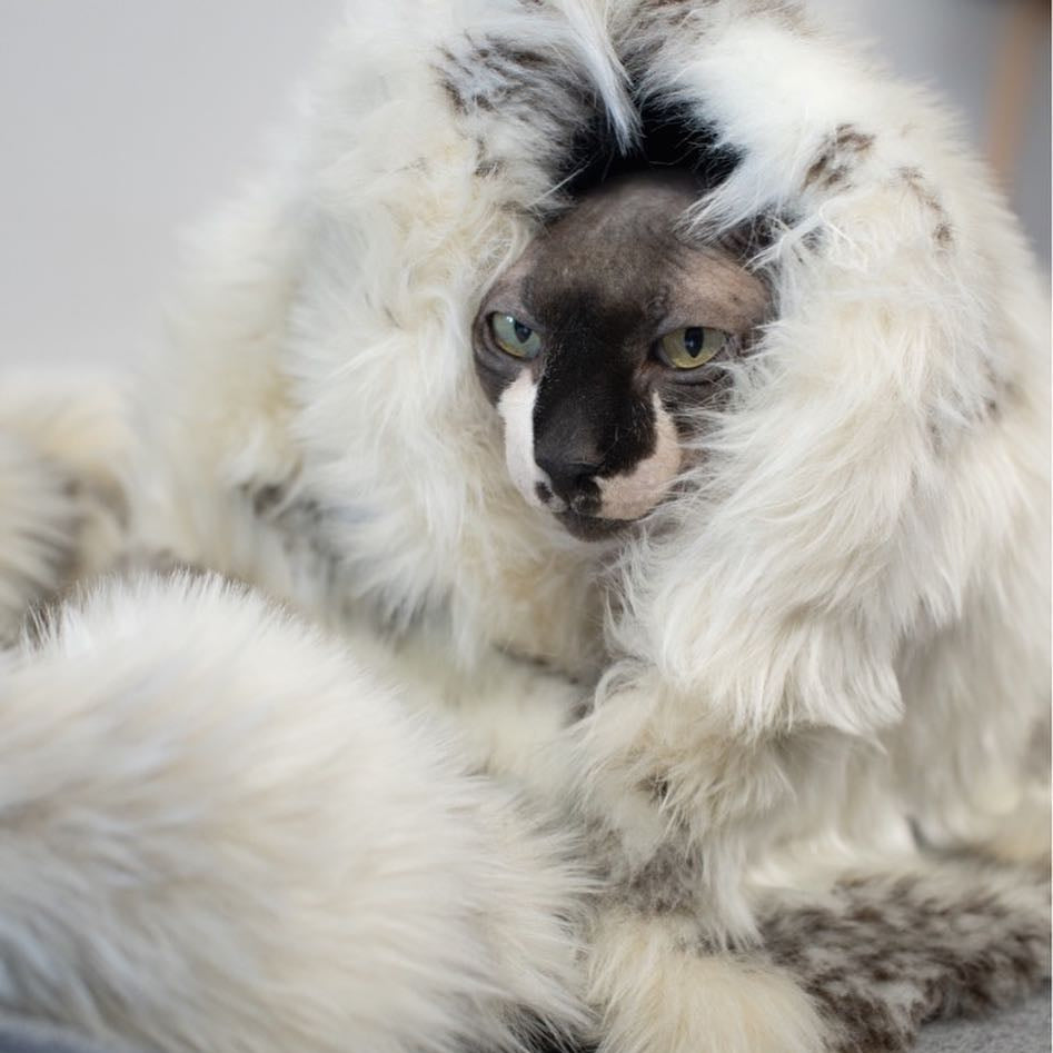 Tösse Blanket