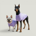 Cargar la imagen en la vista de la galería, Gobi Sun Protection Tee in 5b132ebb 98b8 – Nala's Pet Boutique
