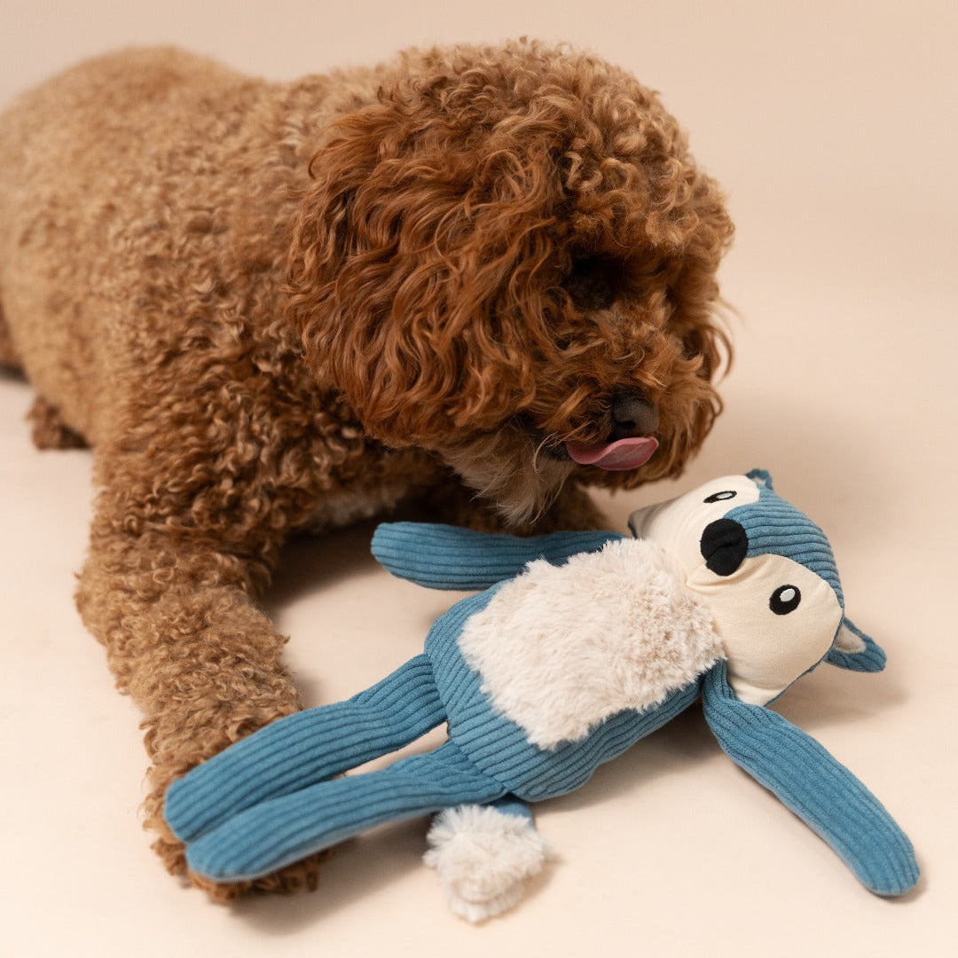 Fox Dog Toy