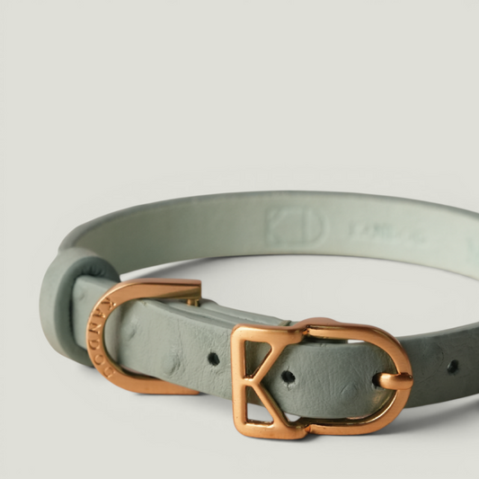 Mint Macaron II luxury dog collar with gold hardware