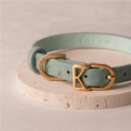 Cargar la imagen en la vista de la galería, Mint Macaron II luxury dog collar with gold hardware
