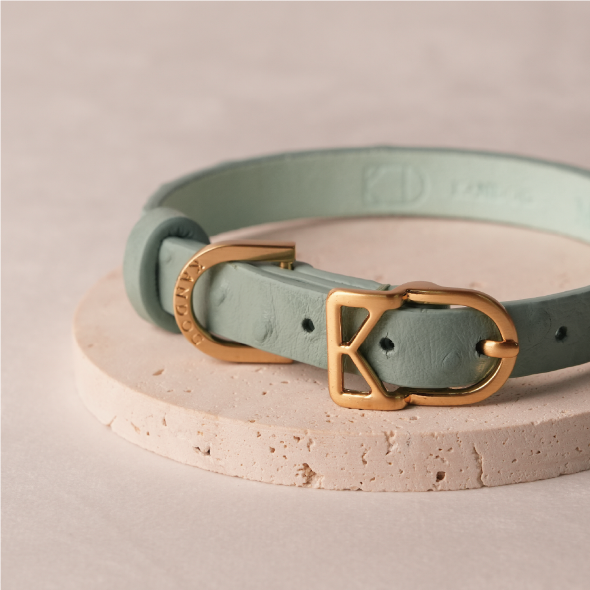 Mint Macaron II luxury dog collar with gold hardware