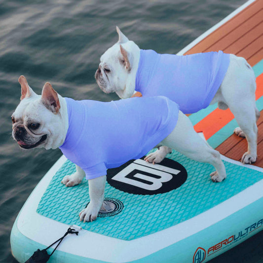 Gobi Sun Protection Tee in Pt1 A263f24e – Nala's Pet Boutique
