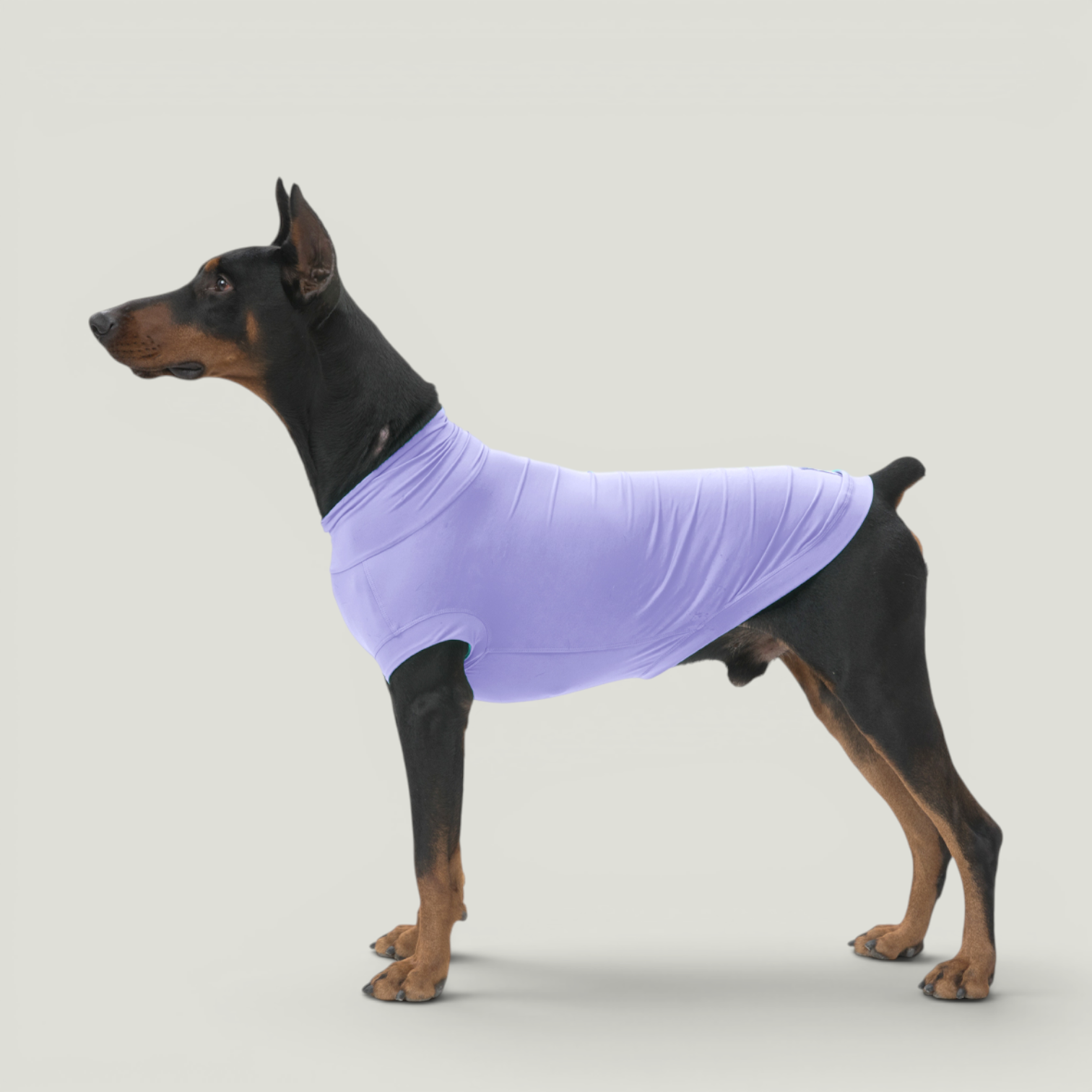 Gobi Sun Protection Tee in Pt3 Photoroom – Nala's Pet Boutique