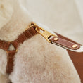 Cargar la imagen en la vista de la galería, ROMA HARNESS in Be8c48050cac990 39c3945e – Nala's Pet Boutique
