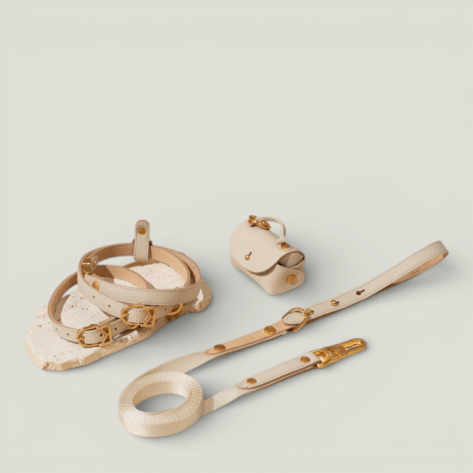 MACARON Collar lifestyle photo – Nala's Pet Boutique