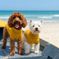 Cargar la imagen en la vista de la galería, Gobi Sun Protection Tee in 9f2c8224 958d – Nala's Pet Boutique
