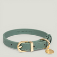 Cargar la imagen en la vista de la galería, Life Dog Collar view 23 – Nala's Pet Boutique
