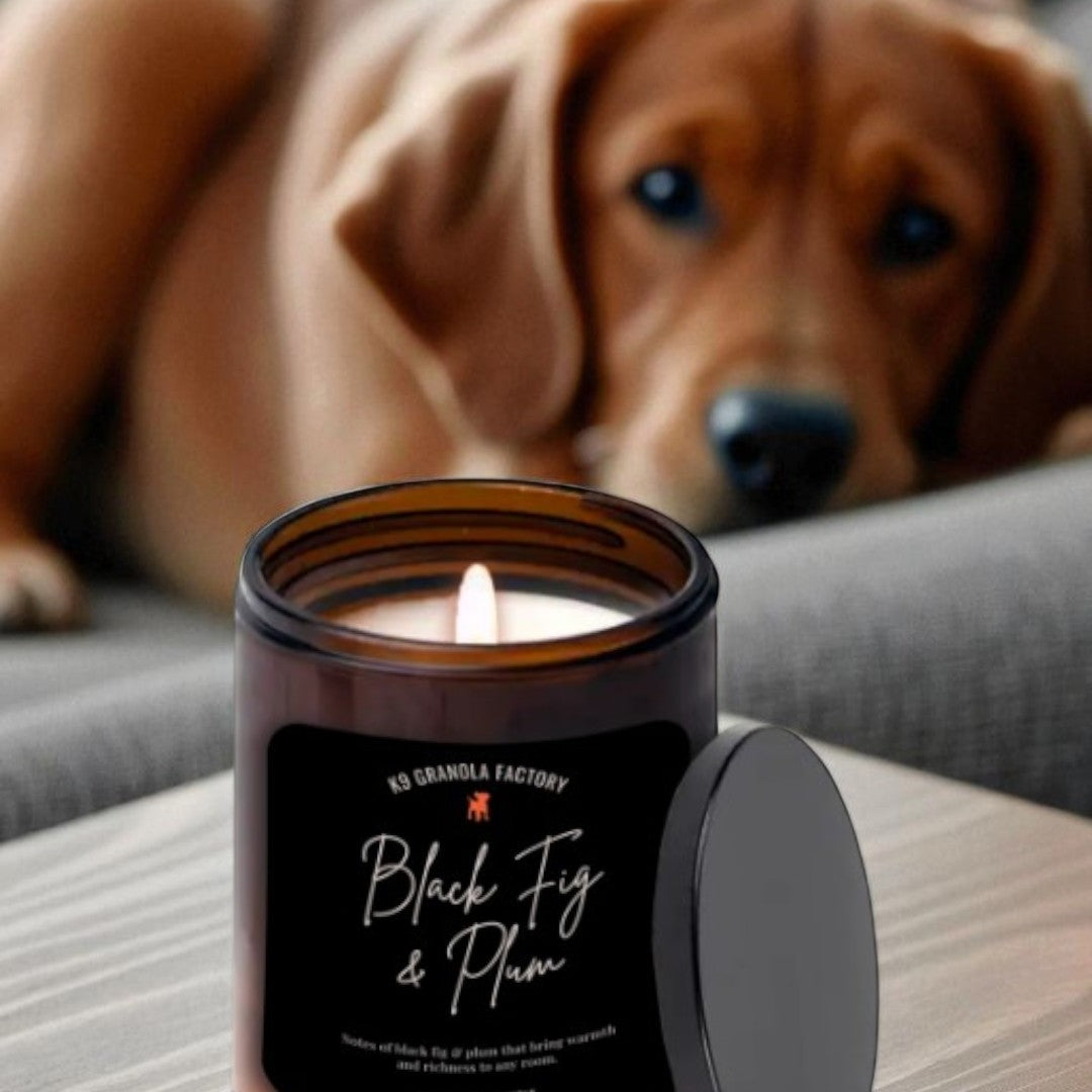 Black Fig Plum - Pet Friendly Candle made with 100% natural soy wax and a cotton wick, safe for pets and family. Shredded coconut and fresh blueberry scent naturally neutralizes odors. Clean burn, free from toxins, parabens, and phthalates.