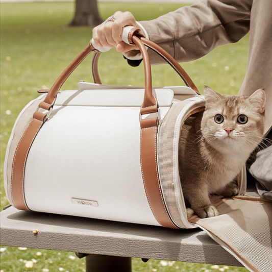 Fynn Pet Carrier in Buzzz Off – Nala's Pet Boutique