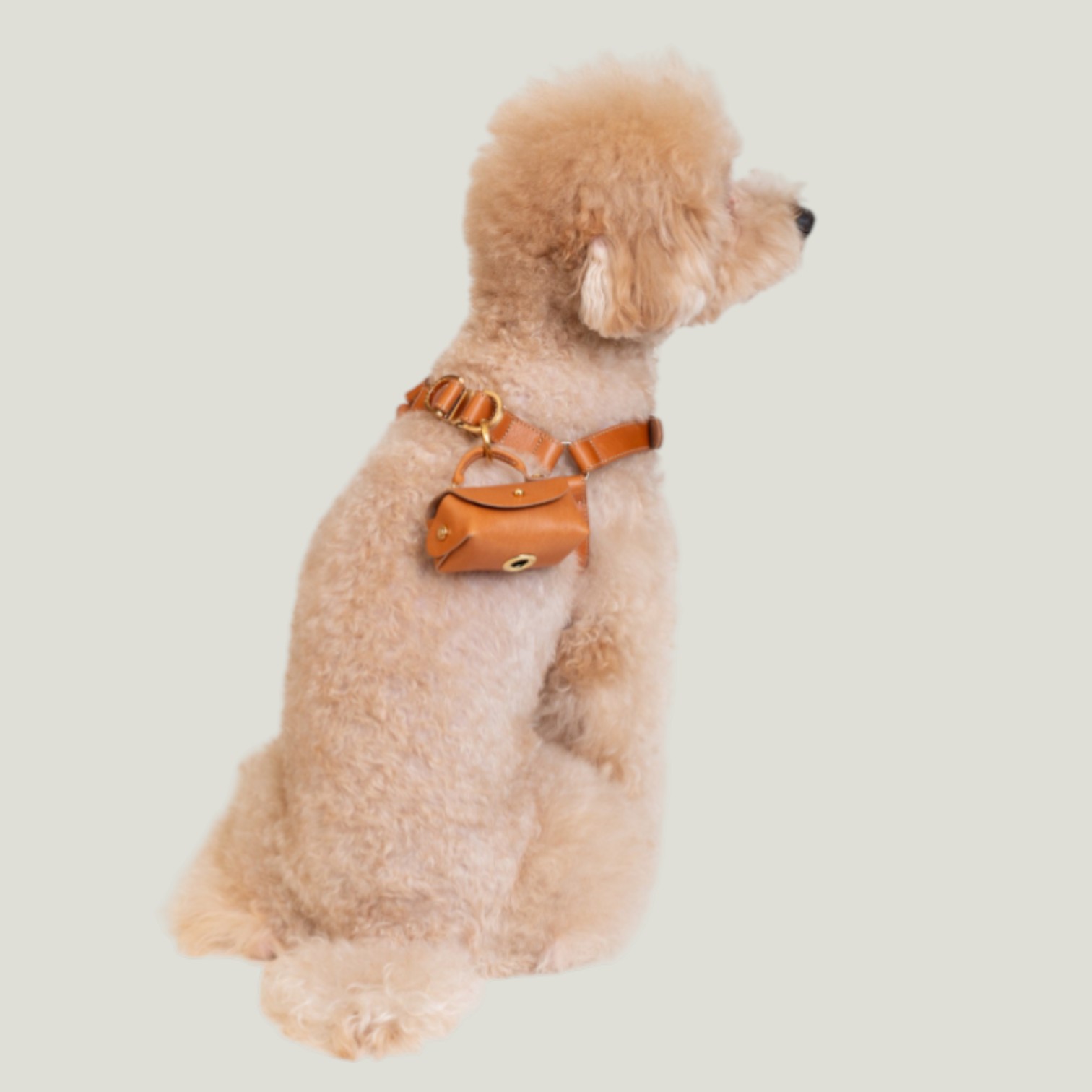 Roma Poop Bag Holder