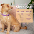 Load image into Gallery viewer, Tailr Classic Pet Tag

