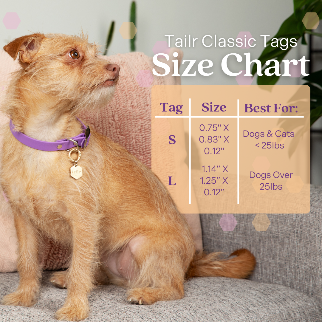 Tailr Classic Pet Tag