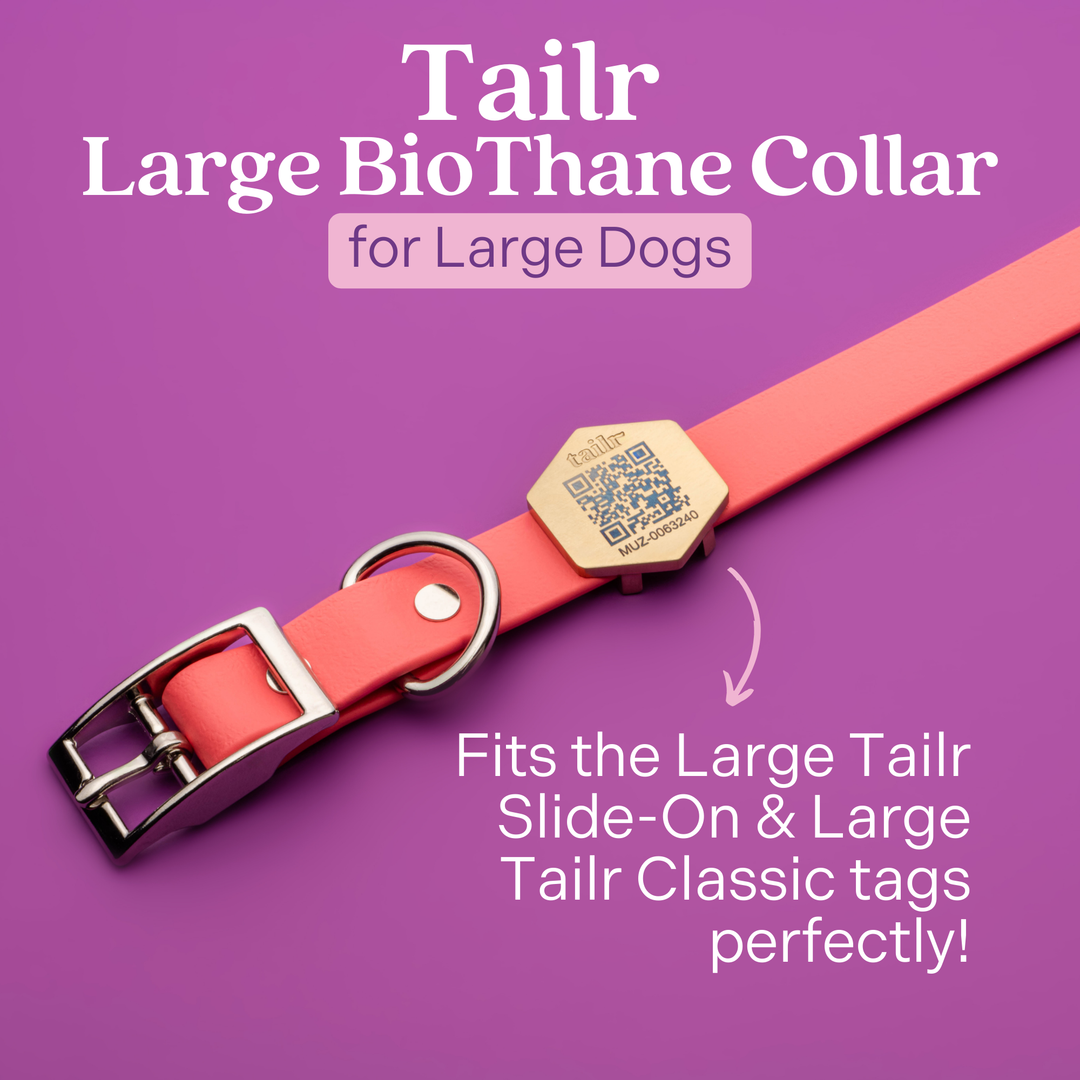 Tailr Collar de uso diario