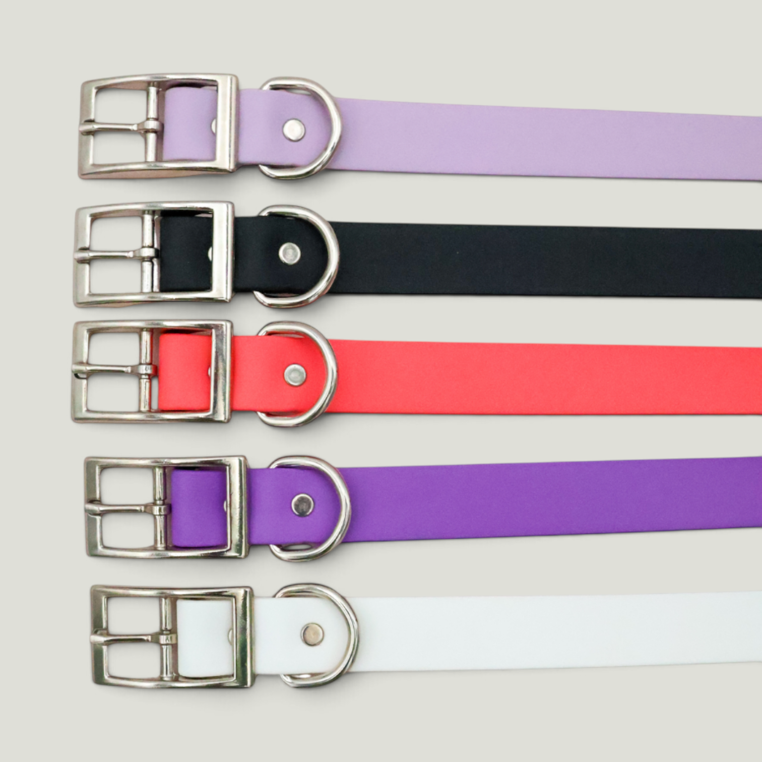 Tailr Collar de uso diario