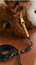 Cargar la imagen en la vista de la galería, Comfy Classic Leash
