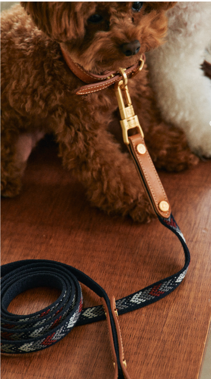 Comfy Classic Leash