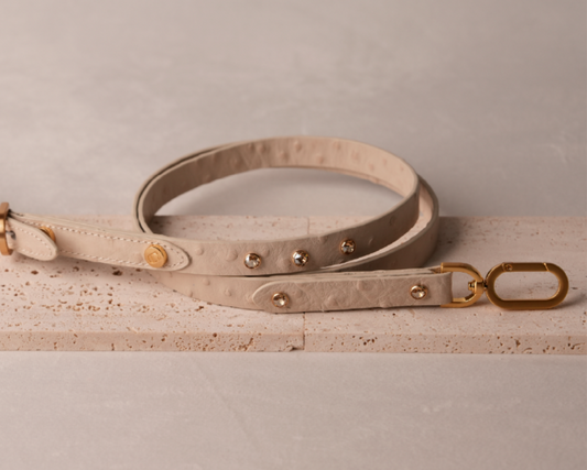 Leather Leash