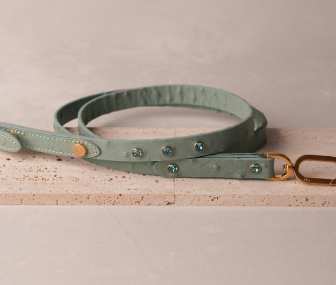 Leather Leash