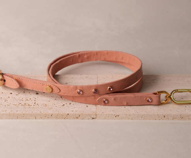 Leather Leash