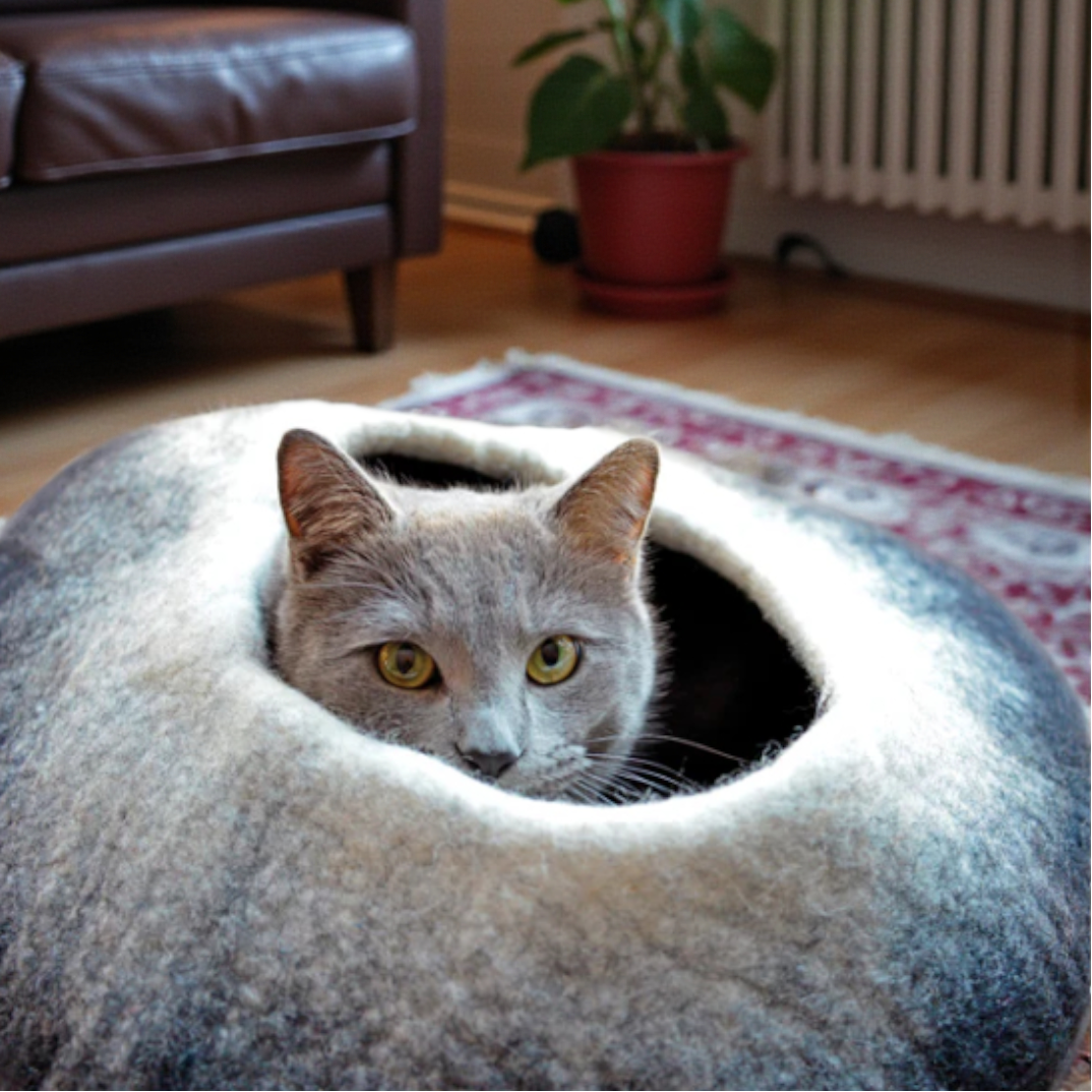 Black & White Ombre Cave in Cactus Cave – Nala's Pet Boutique