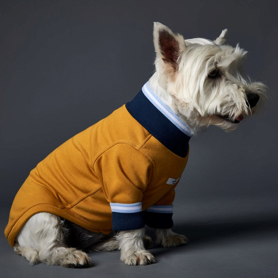 Basic lightweight mustard turtleneck sweater with blue striped neckline and cuffs.