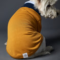 Load image into Gallery viewer, Basic lightweight mustard turtleneck sweater with blue striped neckline and cuffs.
