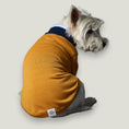 Load image into Gallery viewer, Basic lightweight mustard turtleneck sweater with blue striped neckline and cuffs.
