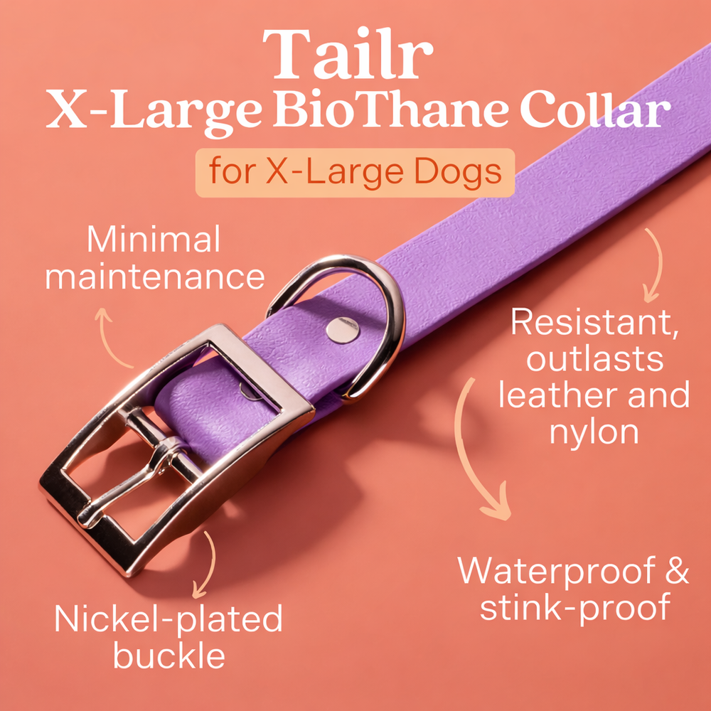 Tailr Collar de uso diario