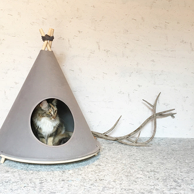 Pet teepee for dog and cats to rest.