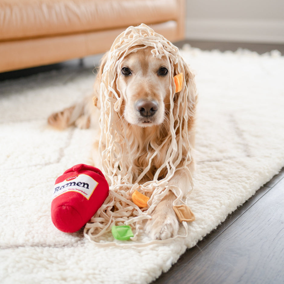 Ramen toy for dogs