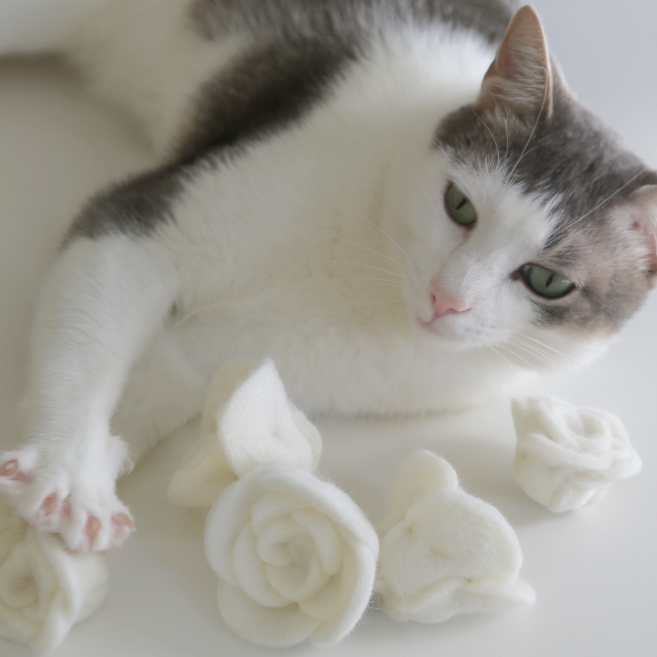 Flora Eterna Cat Toy