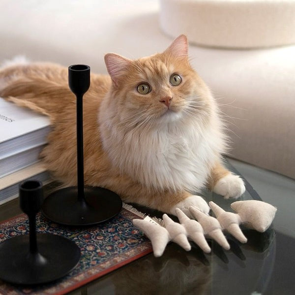 Fishbone catnip toy for cats