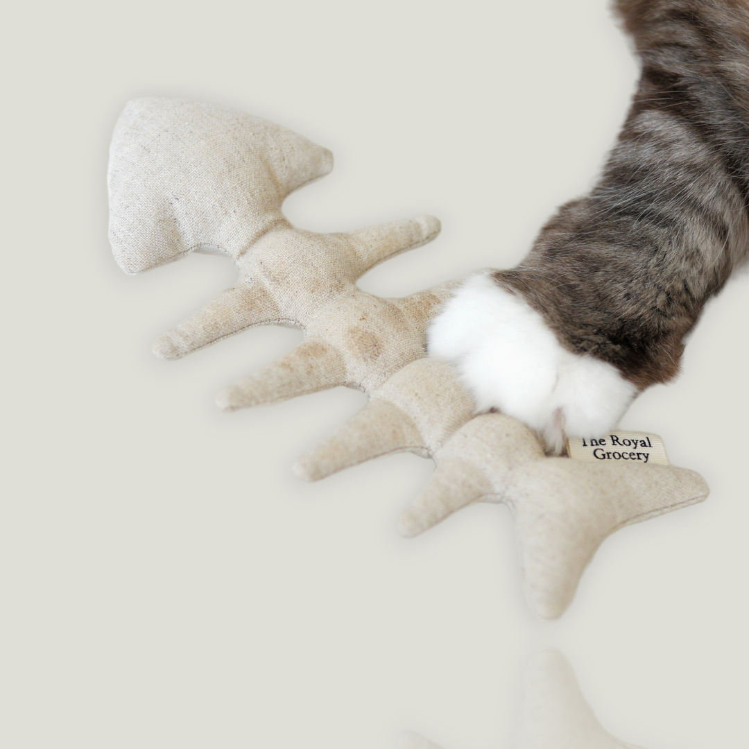 Fishbone catnip toy for cats