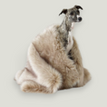 Load image into Gallery viewer, Soft, fluffy, and warm, this blanket will provide thermal comfort to your pet while also adding a tasteful touch of elegance to your interior decor.
