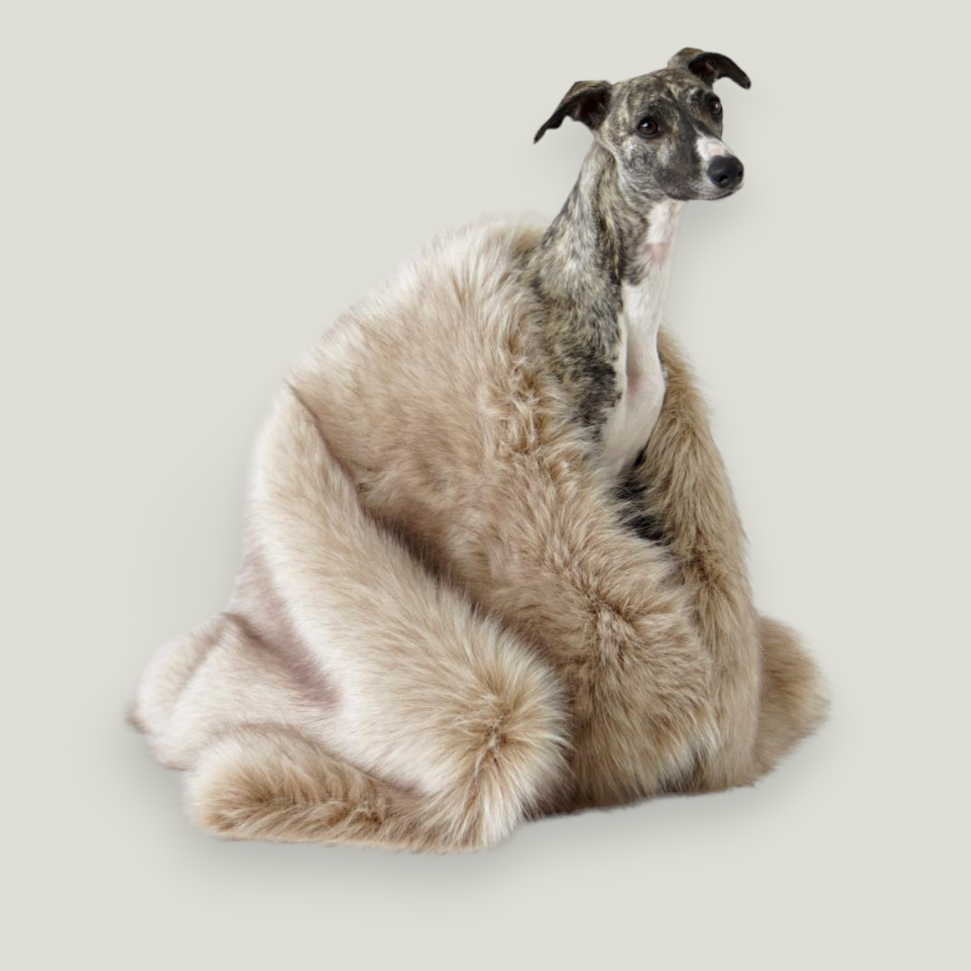 Soft, fluffy, and warm, this blanket will provide thermal comfort to your pet while also adding a tasteful touch of elegance to your interior decor.