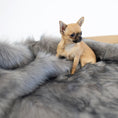 Load image into Gallery viewer, Soft, fluffy, and warm, this blanket will provide thermal comfort to your pet while also adding a tasteful touch of elegance to your interior decor.
